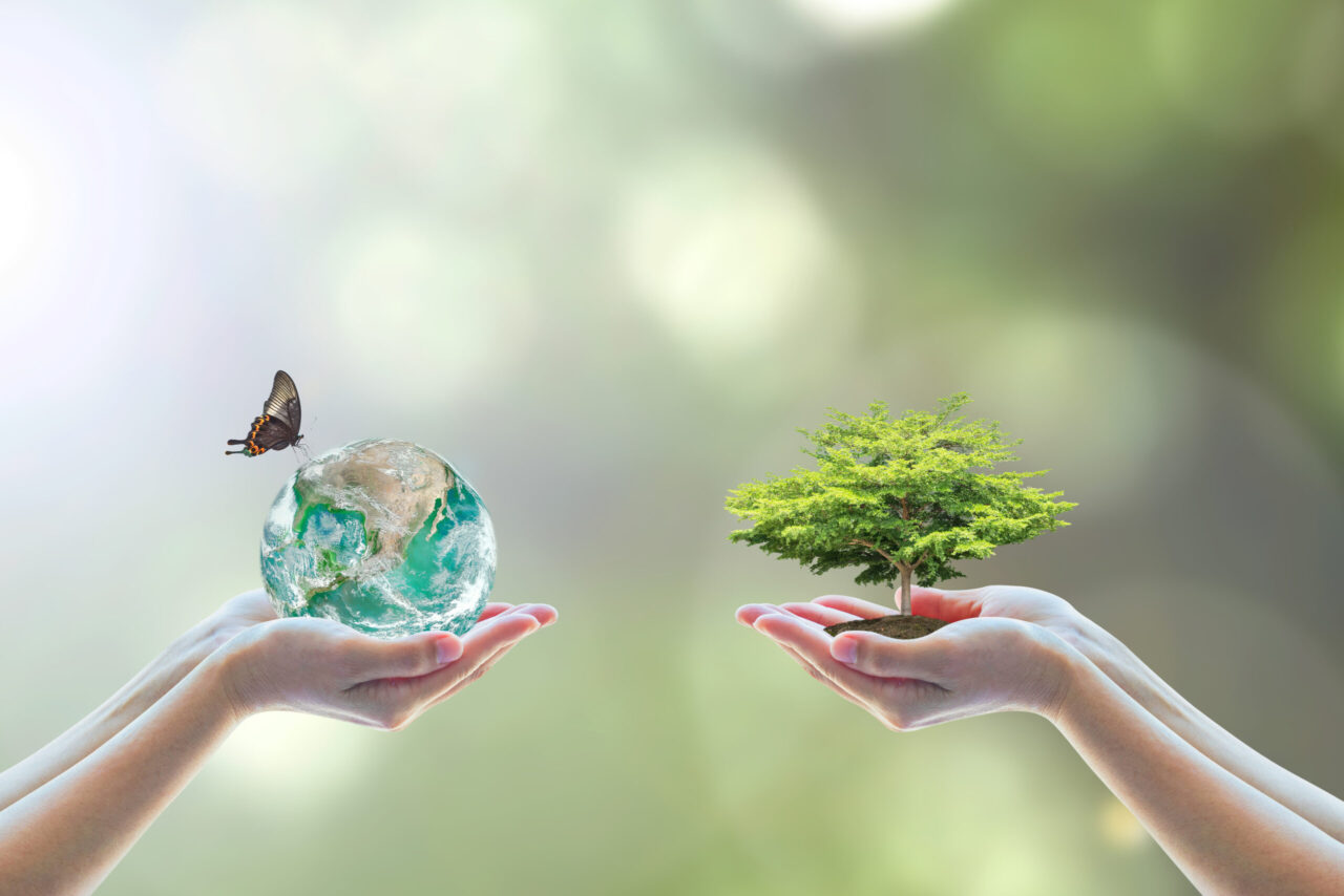 Green Marketing: Ausgleich von Wirtschaft und Umwelt